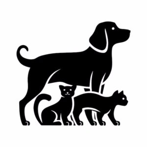 modern-2-bedroom-house-20260211-gallery-5